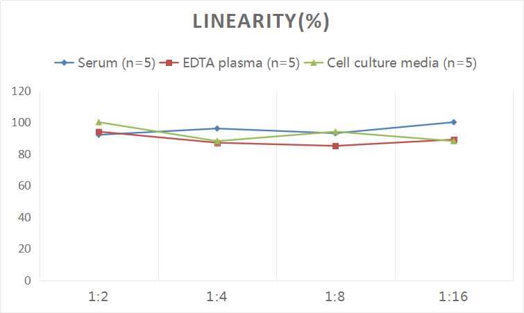 Human Vimentin ELISA Kit (Colorimetric)