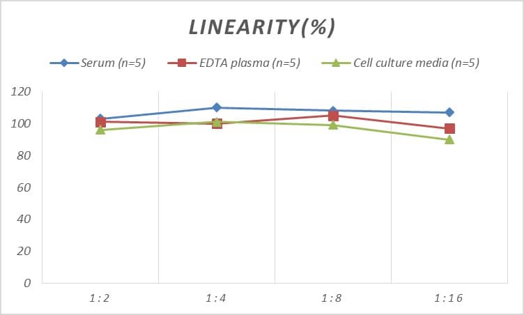 Human Von Willebrand Factor ELISA Kit (Chemiluminescence)