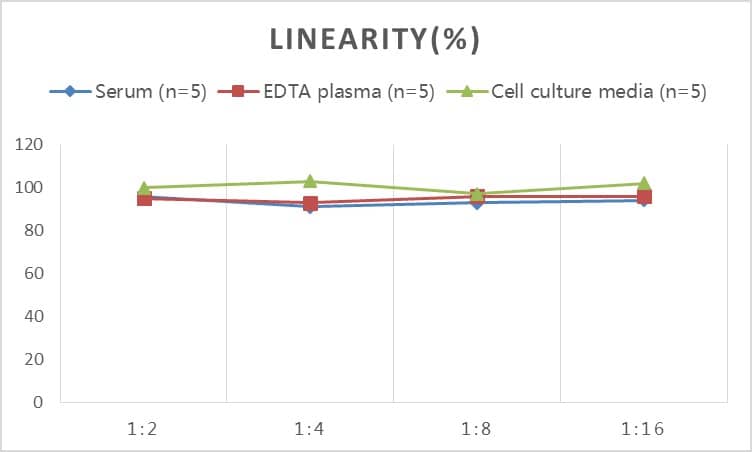 Rabbit Von Willebrand Factor ELISA Kit (Colorimetric)