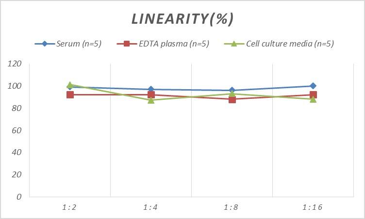 Human AKAP12 ELISA Kit (Colorimetric)