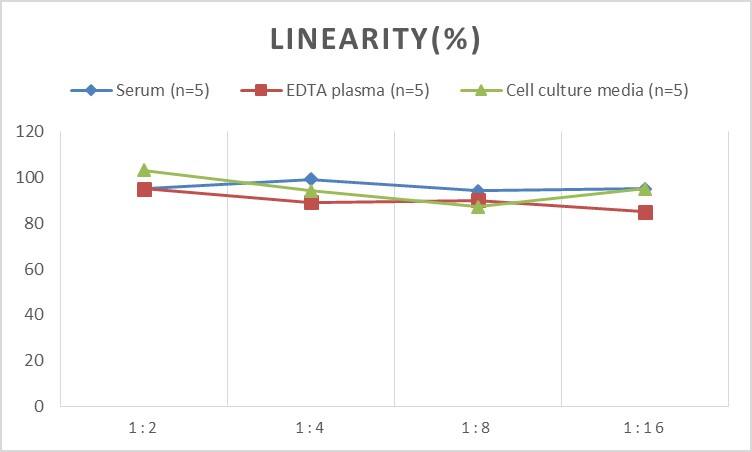 Rat ALAD ELISA Kit (Colorimetric)