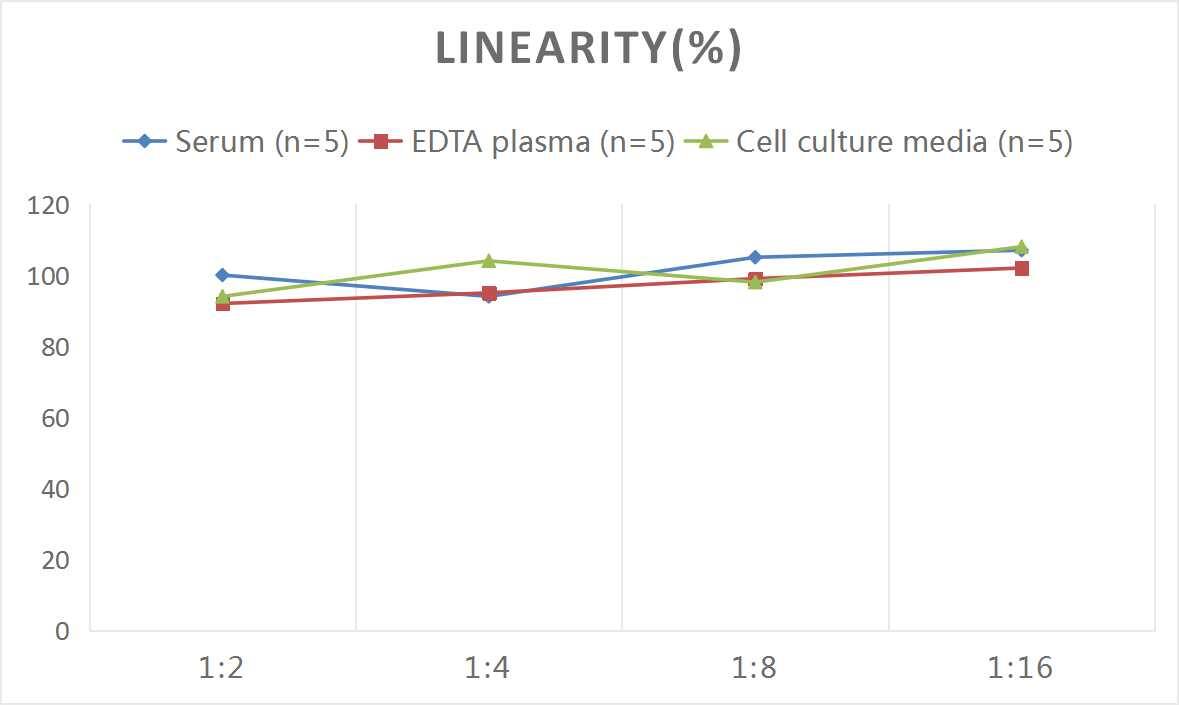 Human ALCAM/CD166 ELISA Kit (Chemiluminescence)