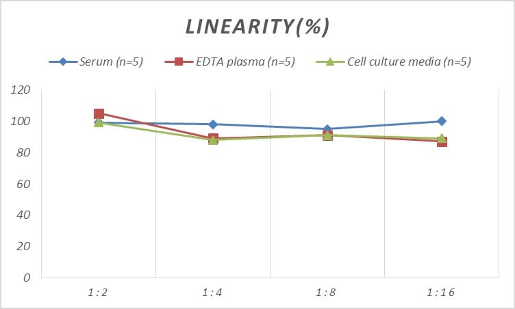 Rat ALCAM/CD166 ELISA Kit (Colorimetric)