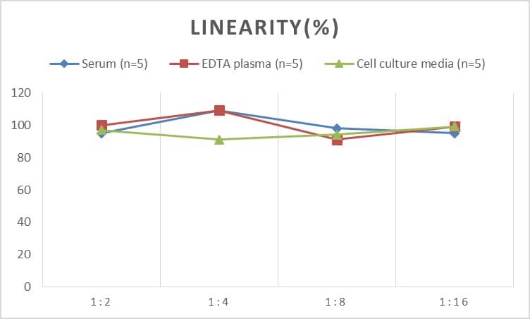 Human Aldolase A ELISA Kit (Chemiluminescence)