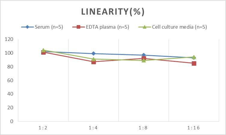 Human 15-Lipoxygenase 2 ELISA Kit (Colorimetric)