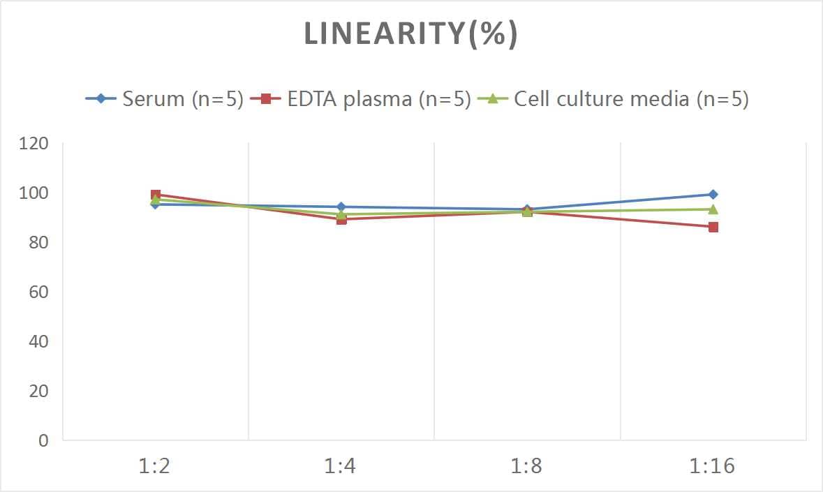 Human Alkaline Phosphatase, Liver/Bone/Kidney ELISA Kit (Colorimetric)
