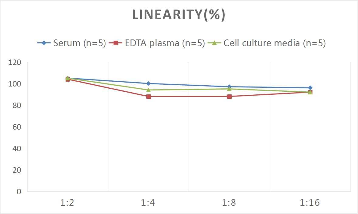 Rat Alkaline Phosphatase, Liver/Bone/Kidney ELISA Kit (Colorimetric)