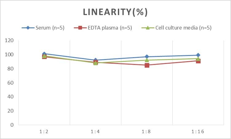 Rat alpha-Methylacyl-CoA Racemase/AMACR ELISA Kit (Colorimetric)