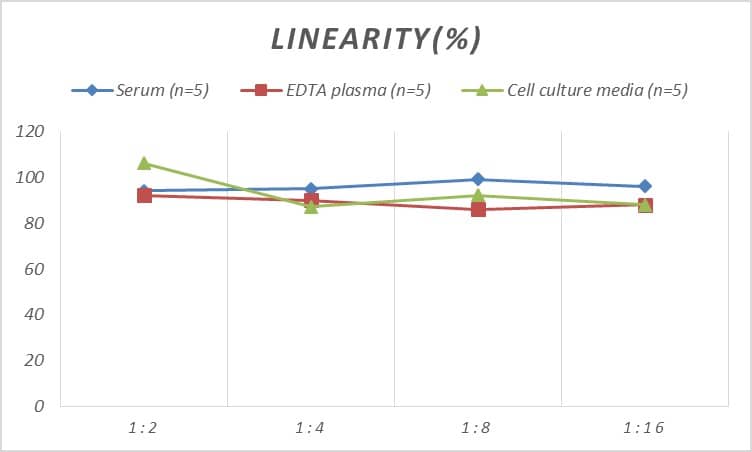 Human Amphiphysin/AMPH ELISA Kit (Colorimetric)