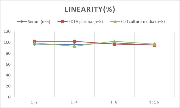 Human Salivary Amylase Alpha ELISA Kit (Chemiluminescence)