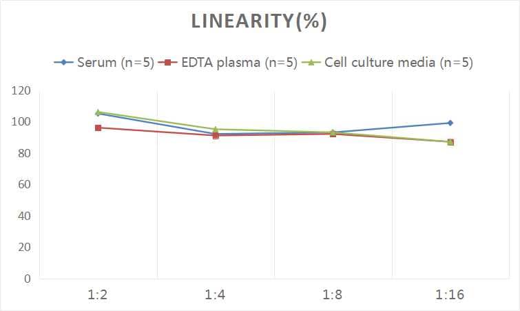 Human Salivary Amylase Alpha ELISA Kit (Colorimetric)