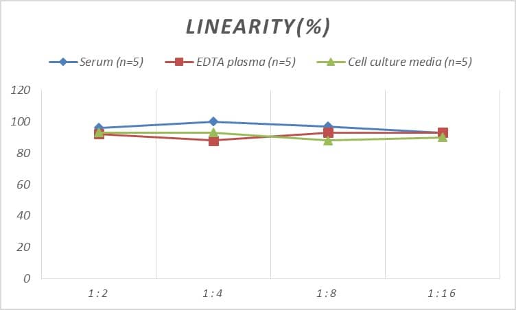 Rat Salivary Amylase Alpha ELISA Kit (Colorimetric)