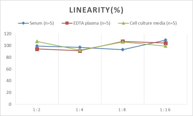 Human Pancreatic Amylase Alpha ELISA Kit (Chemiluminescence)