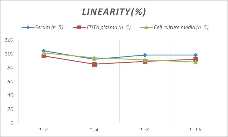 Rat Pancreatic Amylase Alpha ELISA Kit (Colorimetric)