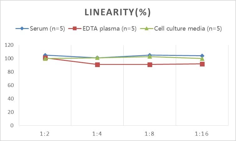 Mouse Angiogenin ELISA Kit (Colorimetric)