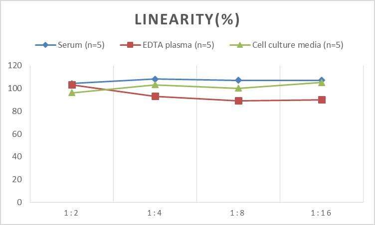 Rat Angiogenin ELISA Kit (Colorimetric)