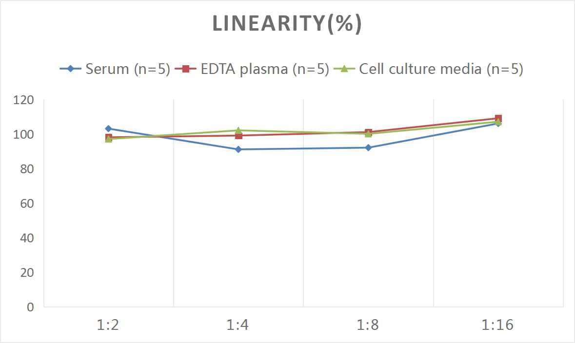 Mouse Angiopoietin-like Protein 2/ANGPTL2 ELISA Kit (Chemiluminescence)