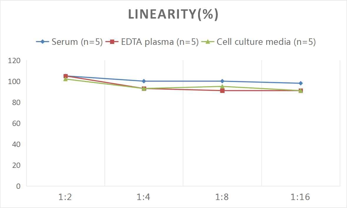 Mouse Angiopoietin-like Protein 2/ANGPTL2 ELISA Kit (Colorimetric)