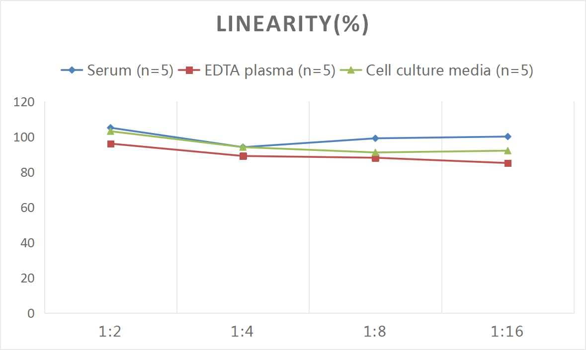 Human Angiopoietin-like protein 8/Betatrophin ELISA Kit (Colorimetric)