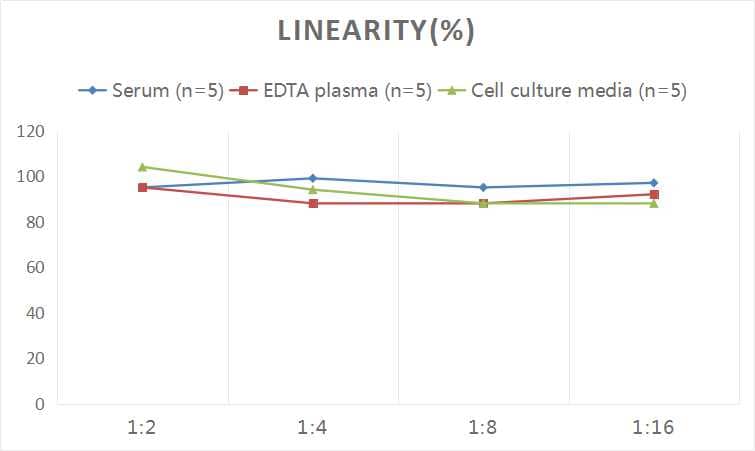 Human Ankyrin Brain ELISA Kit (Colorimetric)