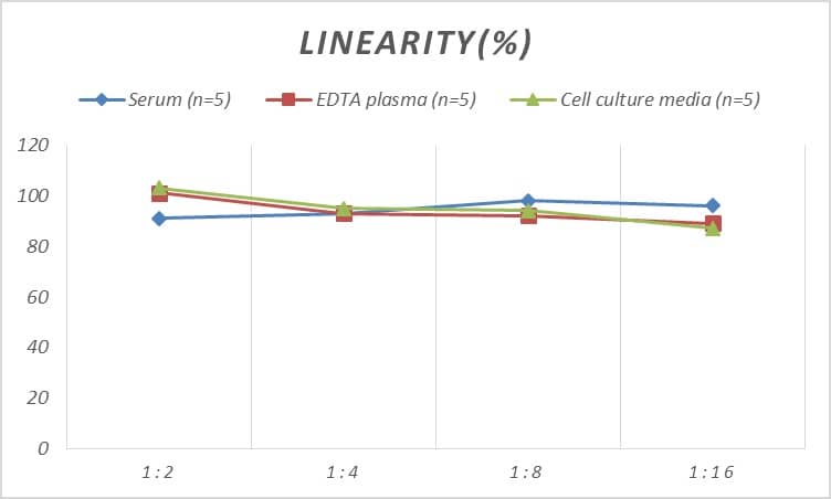 Human ANKRD1 ELISA Kit (Colorimetric)