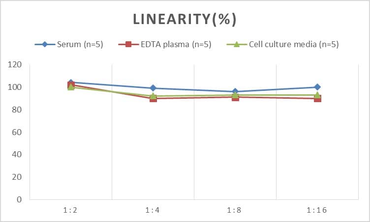 Human ANKRD12 ELISA Kit (Colorimetric)