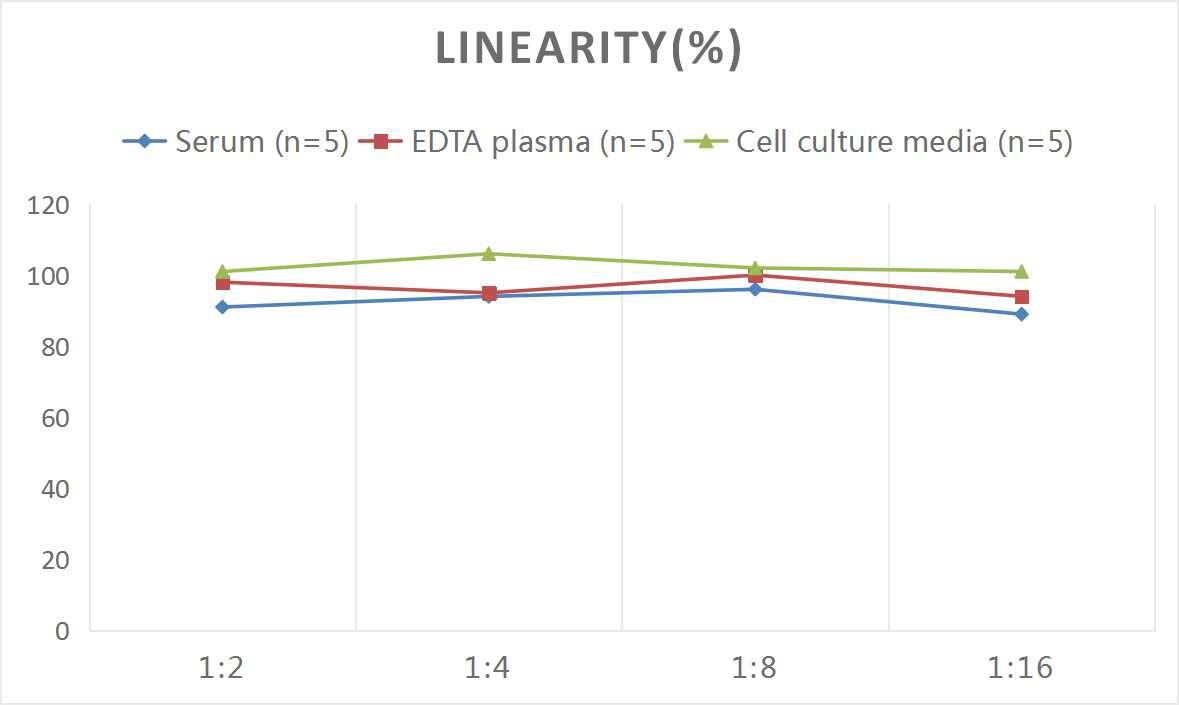 Rat Atrial Natriuretic Peptide/ANP ELISA Kit (Colorimetric)