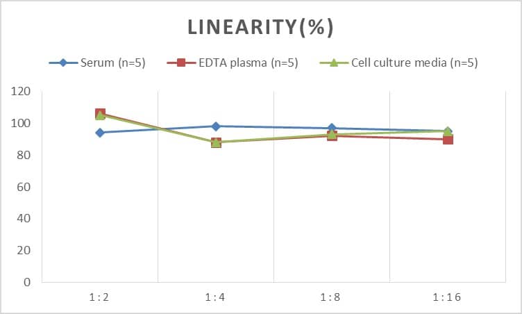 Mouse CMG-2/ANTXR2 ELISA Kit (Colorimetric)