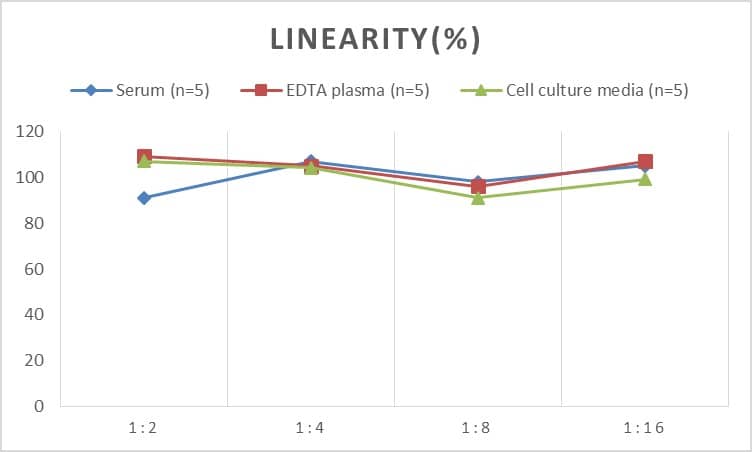 Mouse Annexin A2 ELISA Kit (Chemiluminescence)