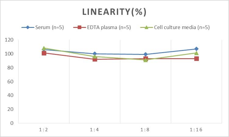 Human Annexin V ELISA Kit (Chemiluminescence)