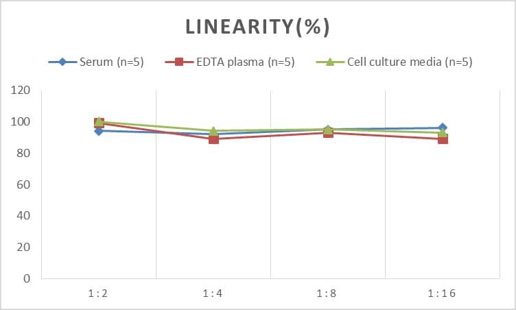 Mouse Annexin V ELISA Kit (Colorimetric)