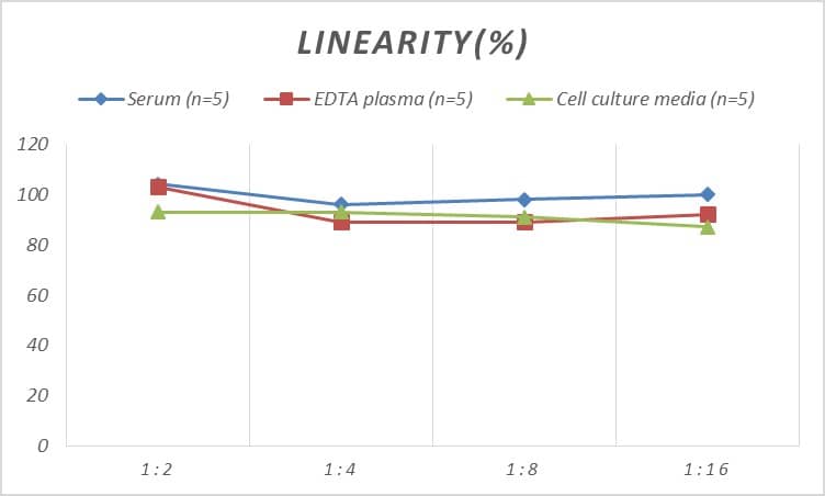 Rat Annexin V ELISA Kit (Colorimetric)