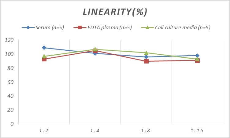 Human APAF-1 ELISA Kit (Chemiluminescence)