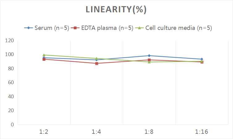 Human APAF-1 ELISA Kit (Colorimetric)