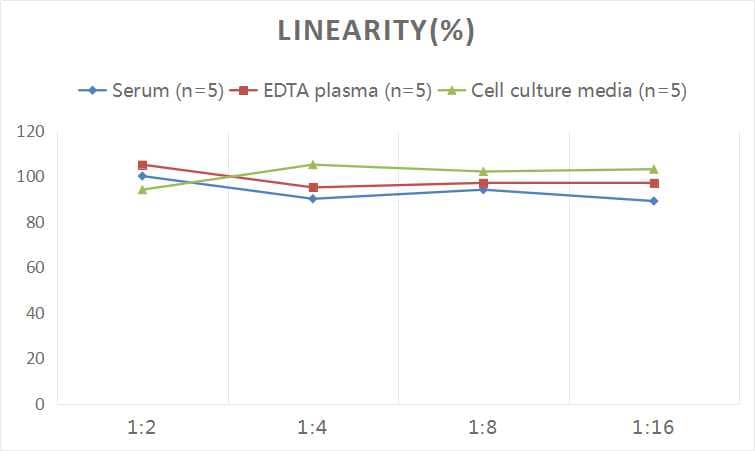 Human Apelin ELISA Kit (Colorimetric)