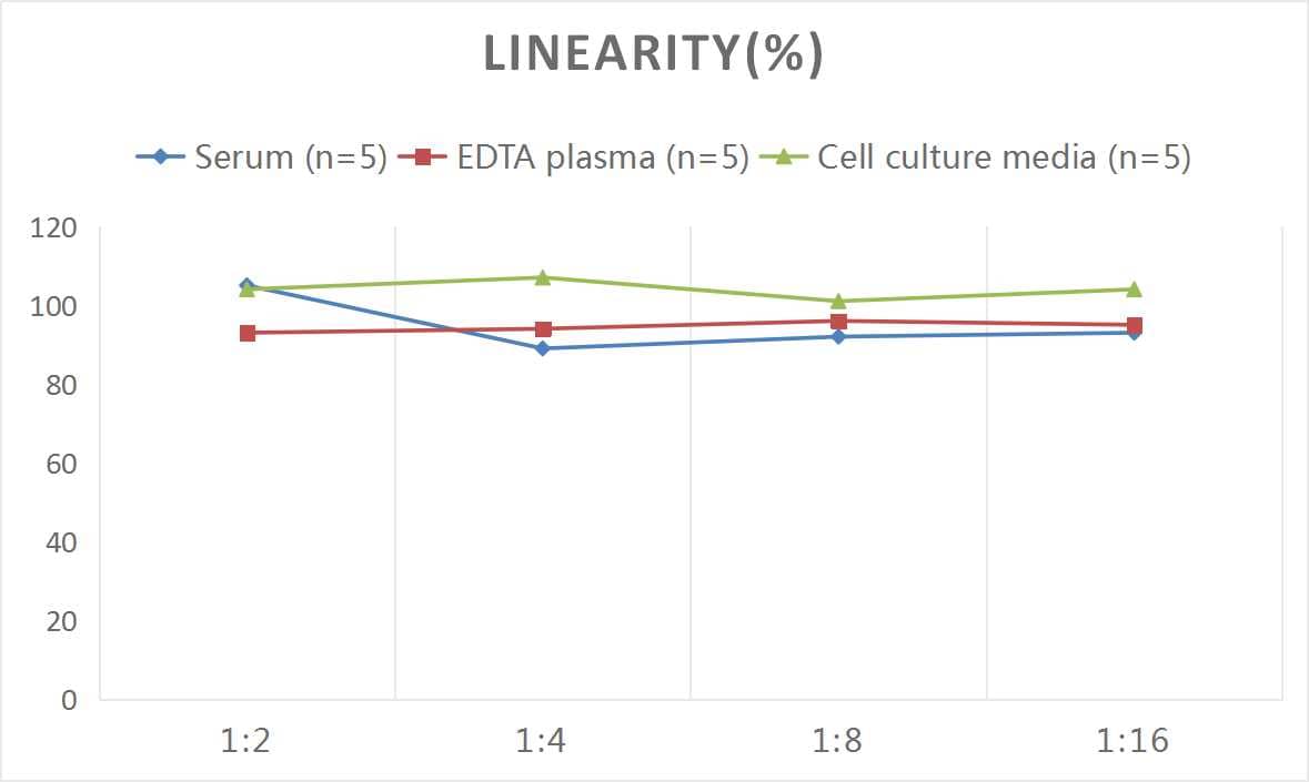 Mouse Apelin ELISA Kit (Colorimetric)