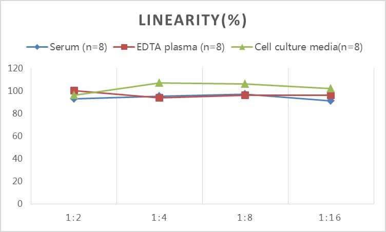 Rat Apelin ELISA Kit (Colorimetric)