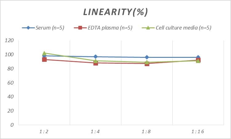 Rat APJ/Apelin receptor ELISA Kit (Colorimetric)