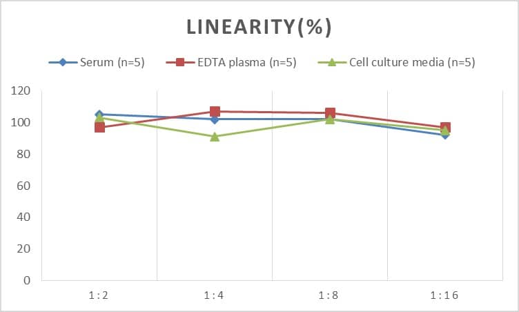 Rat Apolipoprotein A-I/ApoA1 ELISA Kit (Chemiluminescence)