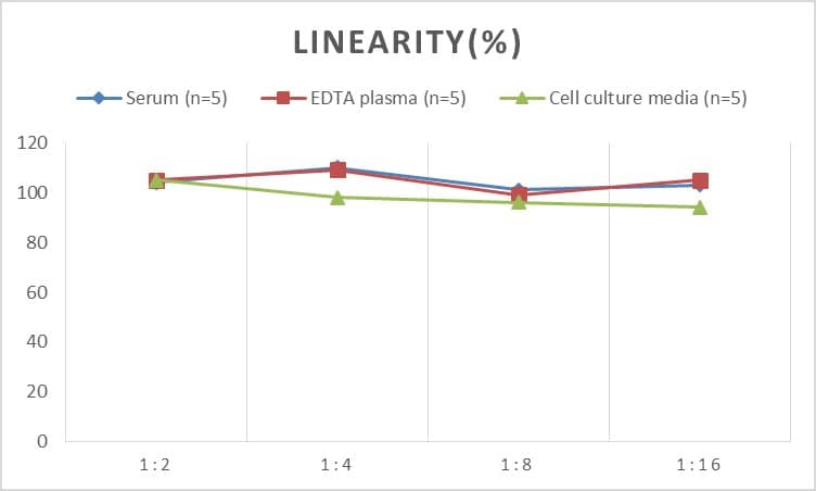 Mouse Apolipoprotein A-I/ApoA1 ELISA Kit (Chemiluminescence)