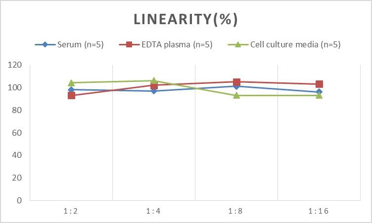 Rat Apolipoprotein A-II/ApoA2 ELISA Kit (Chemiluminescence)