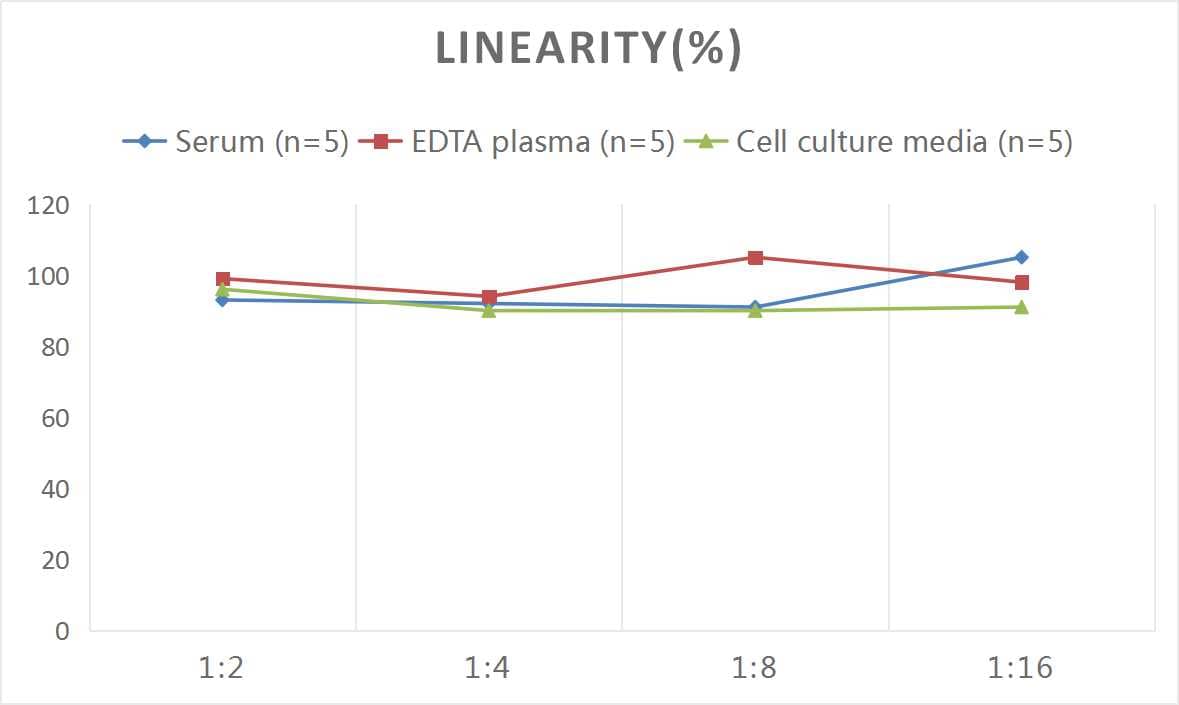 Mouse Apolipoprotein A-II/ApoA2 ELISA Kit (Colorimetric)