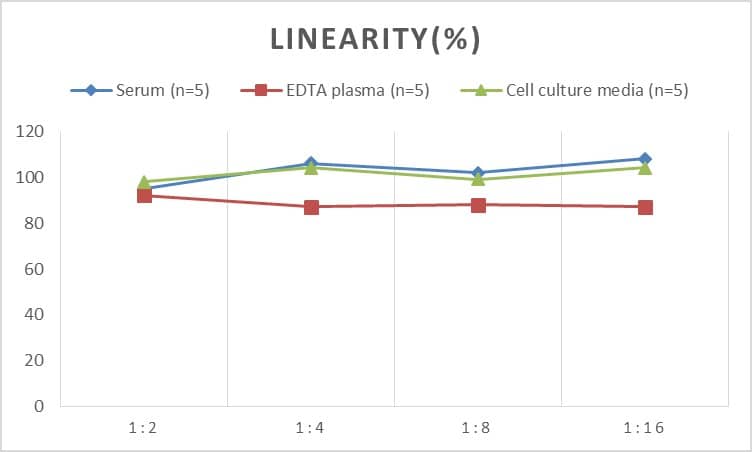 Rat Apolipoprotein A-II/ApoA2 ELISA Kit (Colorimetric)