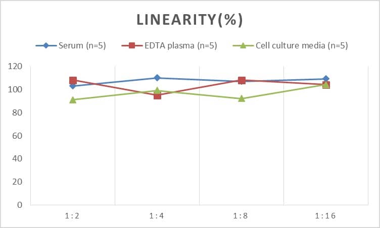 Human Apolipoprotein A5 ELISA Kit (Chemiluminescence)