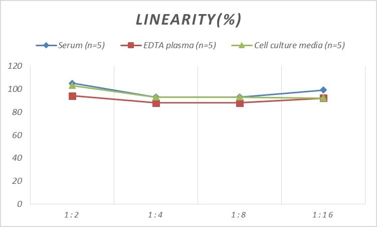 Rat Apolipoprotein A5 ELISA Kit (Colorimetric)