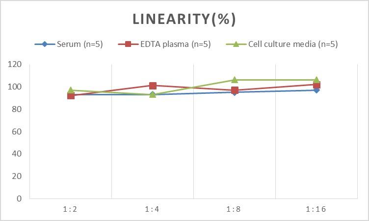 Human AMPK alpha 1 ELISA Kit (Chemiluminescence)