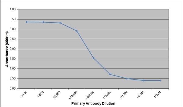 Mouse anti-Canine IgG2 Heavy Chain Secondary Antibody (CA4F1) ELISA: Mouse anti-Canine IgG2 Heavy Chain Secondary Antibody (CA4F1) [NBP2-68409] -