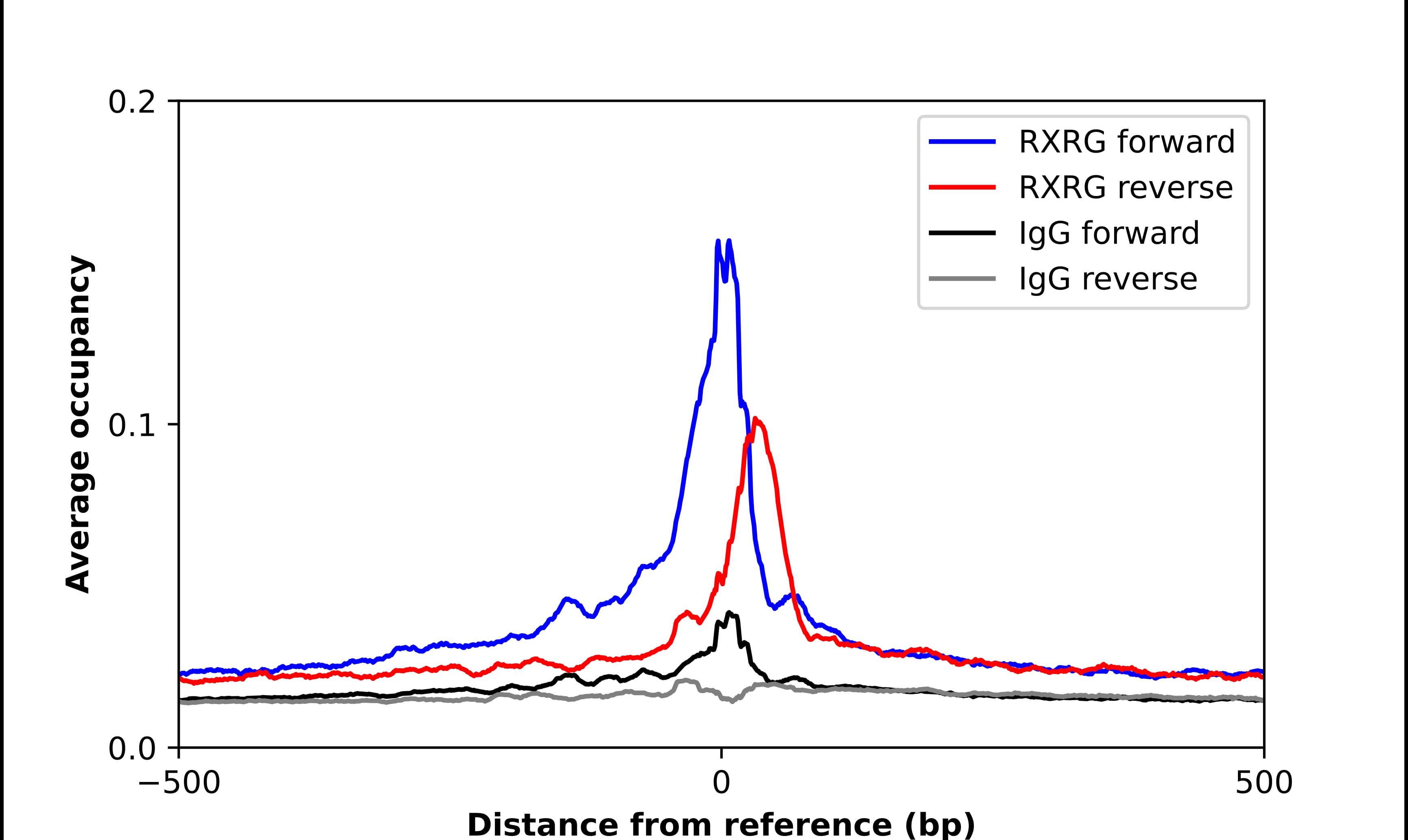 RXR gamma/NR2B3 Antibody - BSA Free Chromatin Immunoprecipitation ChIP: RXR gamma/NR2B3 Antibody - BSA Free