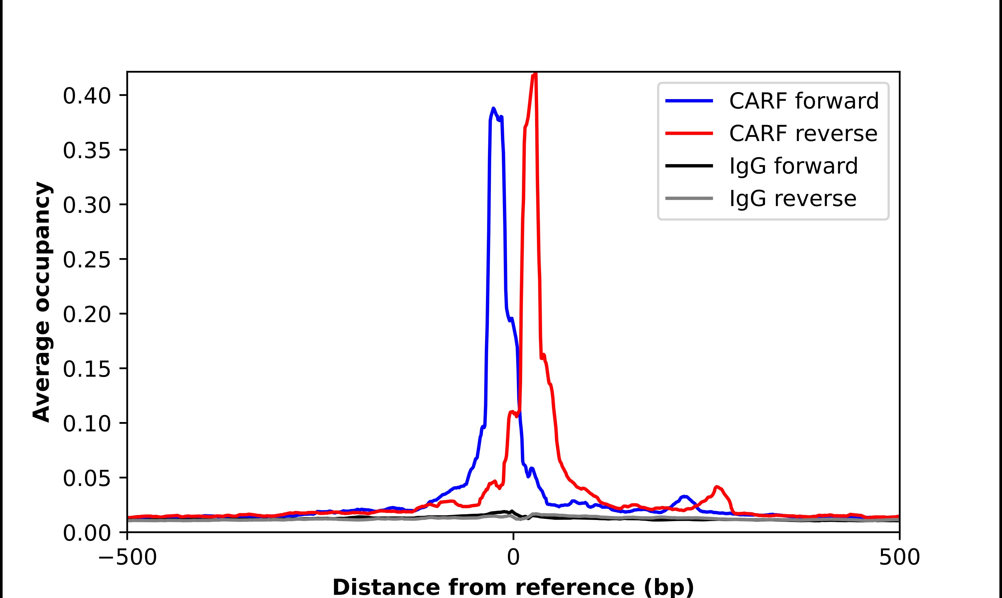 ALS2CR8 Antibody - BSA Free Chromatin Immunoprecipitation ChIP: ALS2CR8 Antibody - BSA Free