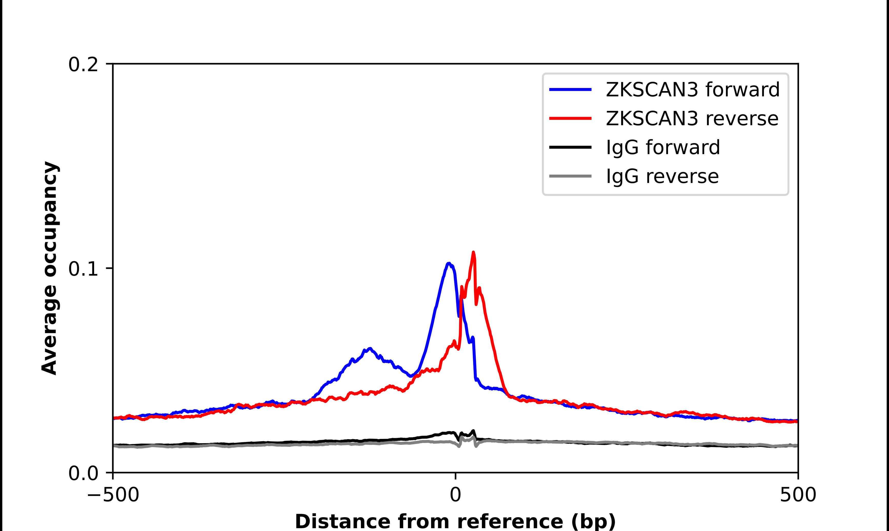 ZKSCAN3 Antibody - BSA Free Chromatin Immunoprecipitation-exo-Seq: ZKSCAN3 Antibody - BSA Free [NBP2-68756]
